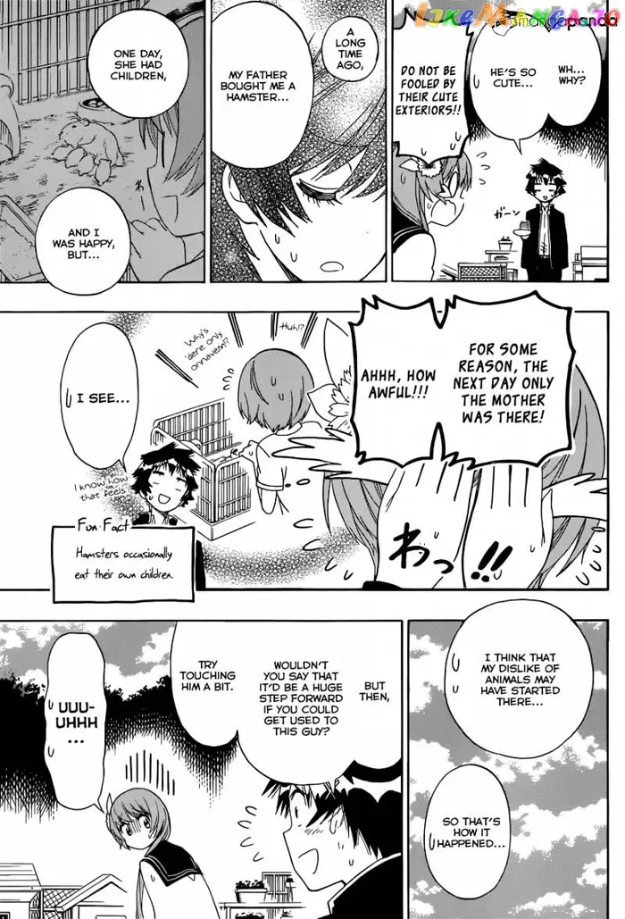 Nisekoi Chapter 142 image 16_optimized